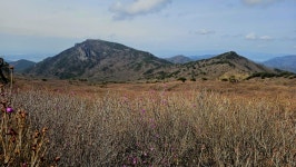 대구 비슬산 ::: 82cook.com