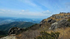 대구 비슬산 ::: 82cook.com