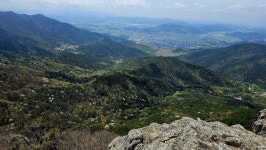 대구 비슬산 ::: 82cook.com