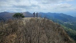 대구 비슬산 ::: 82cook.com