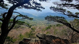 대구 비슬산 ::: 82cook.com