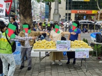 6.21일 토요일 교대역 10번출구 나눔입니다 ::: 82cook.com