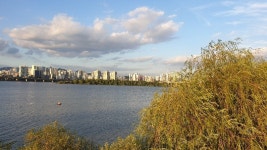 어제(일) 한강의 가을 ::: 82cook.com