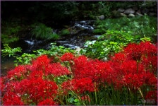 가을 찻집 ::: 82cook.com