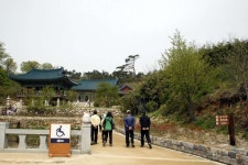 길 - 낙산사 ::: 82cook.com