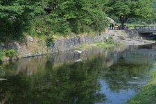 아산 외암마을입니다. ::: 82cook.com