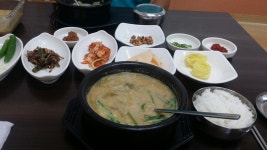 그 동안의 이야기 (여름부터 ~~~) ::: 82cook.com