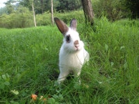 산책하기 좋은 공원, 난지천공원 ::: 82cook.com