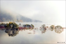 호반의 아침 ::: 82cook.com