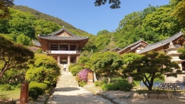 부석사 & 소백산(上) ::: 82cook.com