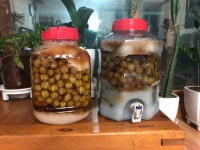 친정부모님과의 점심 ::: 82cook.com