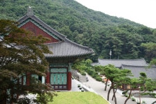 천안 각원사 ::: 82cook.com