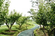 아산 신정호 ::: 82cook.com