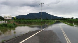 Cyclone Ellie - ABC News (Australian Broadcasting Corporation) Cyclone Ellie
