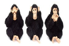 See no evil, hear no evil, speak no evil - ABC News (Australian Broadcasting Corporation) See no evil, hear no evil, speak no evil