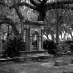 Bonaventure cemetery - Books and Arts - ABC Radio National (Australian Broadcasting Corporation) Bonaventure cemetery
