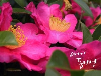 국립아시아문화전당 - 참여·행사 - ACC 국제학술행사 - 2018년도 - 상세보기(상세) ACC특별투어11월 민주평화교류존 투어