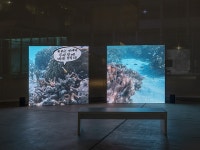 국립아시아문화전당 - 전시 - 예정전시(상세)