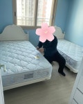BMA1034 | 프레임 | BED | 에이스침대 BMA1034