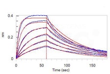 Interferon (IFN) Family Proteins | 연구용제품 > Bio마켓 | BRIC