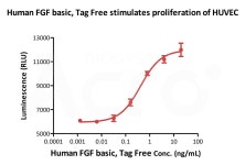 Cytokines for Organoid Culture | 연구용제품 > Bio마켓 | BRIC