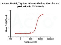 Cytokines for Organoid Culture | 연구용제품 > Bio마켓 | BRIC