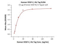 VEGF 단백질: 종양의 섭식 채널 차단 | 연구용제품 > Bio마켓 | BRIC