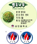 성안중학교 수목타원200-160