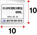 일신기연-스텐(10x10)