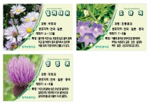 [당하초등학교] 수목표찰 사각 180 x 120