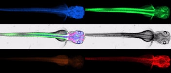 전체 유기체 이미징 | 애질런트