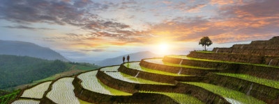 Free Travel Guide for TAT, Thailand - What to do in TAT TAT Archives » Agoda: Check in, step out