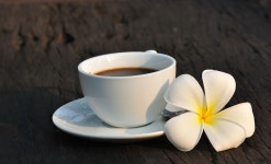 비엔티안의 즐길 거리 - 최고의 관광 명소, 랜드마크 및 인근 숙소 » Agoda: See The World For Less