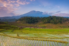 서부 자바의 숨겨진 보물, 찌레본에 오신 것을 환영합니다 » Agoda: See The World For Less