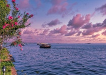 Exploring Kochi: Top Things to Do in Keralas Enchanting Port City » Agoda: See The World For Less