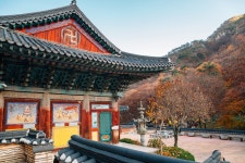대전 근교의 등산객 천국, 장엄한 계룡산 국립공원을 방문하세요 » Agoda: See The World For Less