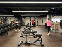 Novotel Melbourne Airport - ALL Novotel Melbourne Airport