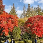실시간 수다방 | 청정원프렌즈 | 청정원 노벰버 