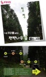 [청소년]나와 우리를 살리는 전북완주 편백나무숲 볼런투어 | 공모전 대외활동 올콘 [청소년]나와 우리를 살리는 전북완주 편백나무숲 볼런투어