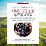 대부도포도농장 지원 봉사활동 모집 | 공모전 대외활동 올콘 대부도포도농장 지원 봉사활동 모집
