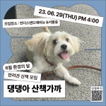 언더스탠드에비뉴 반려견 산책 모임 댕댕아 산책가까 | 올콘 l 공모전·대외활동 언더스탠드에비뉴 반려견 산책 모임 댕댕아 산책가까