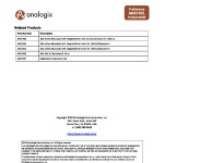 ANX7431 datasheet(2/2 Pages) ANALOGIX | 10G Active Mux (1x2)... Integrated Re-timer for USB 3.2 ANX7431 datasheet(2/2 Pages) ANALOGIX