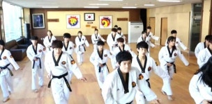 K-Tigers are back with their incredible stunts in music drama cover of EXOs Growl | allkpop K-Tigers are back with their... 