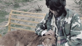 K-POP MVs with Doggos | allkpop K-POP MVs with Doggos