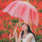 문구는ART다. 카테고리1위 알파 공식쇼핑몰!