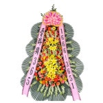 기획전상세 문구는ART다. 카테고리1위 알파 공식쇼핑몰!