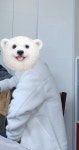 일단 생각 보다 길어요 크기도 크고 키 155에 53키로인데 2샀는데도... 크고 키 155에 53키로인데 2샀는데도 크네요 따뜻하고 가REVIEW - 안다르