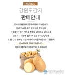 강원도 감자, 착한 감자 가격에 판매 홈페이지 &#039;마비&#039;