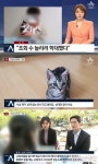 갑수목장 &#039;동물학대&#039; 의혹 해명 &quot;보도, 악의적 편집&quot;