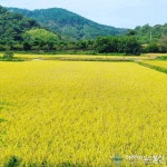 이병주문학관 경치 끝내주네